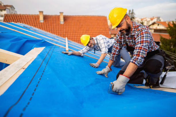 Best Metal Roofing Contractor  in Prescott, WI