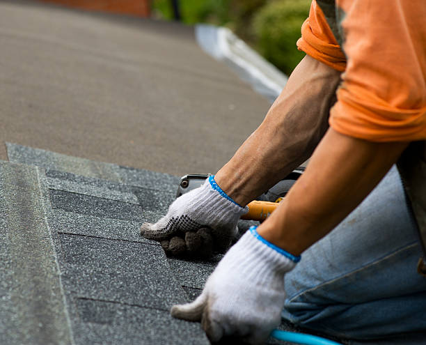 Best Roof Repair Services  in Prescott, WI